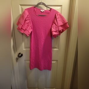 Pink Ruffle Sleeve Dress